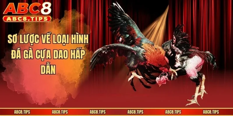 Đá Gà Cựa Dao - Loại Hình Thi Đấu Căng Não, Kịch Tính 2 Sơ lược về loại hình đá gà cựa dao hấp dẫn